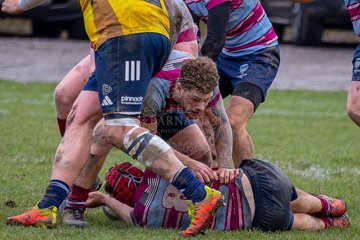 IMG_6179